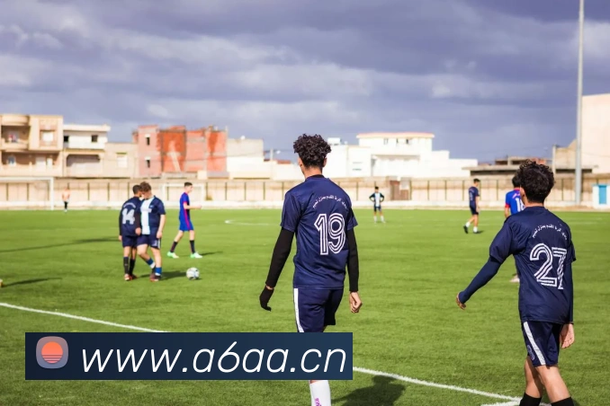 星空体育在线网址平台生态图